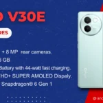 Vivo V30e